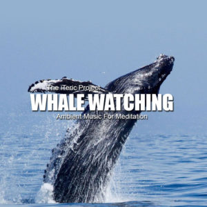 Whale Watching: Ambient Music For Meditation